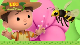 A FLOWER WITH WINGS?!🌸 Guess the Animal | BRAND NEW SERIES | Leo the Wildlife Ranger | Kids Cartoons