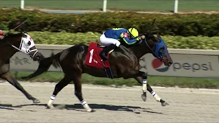 Gulfstream Park Replay Show | October 15, 2022