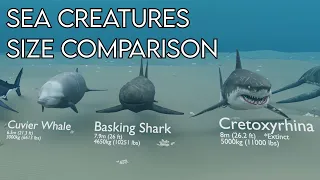 Sea Creatures Size Comparison (18:9)