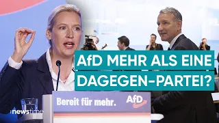 AfD weiter auf Erfolgskurs: Partei will Kanzlerkandidaten stellen!