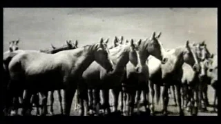 THERE ARE HORSES, 1965 // KYRGYZFILMS