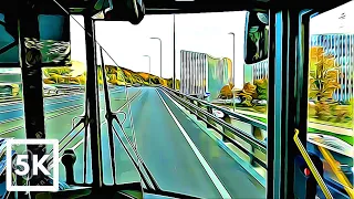 Riding bus in Vilnius in sunny autumn morning! #tour #bus #vilnius