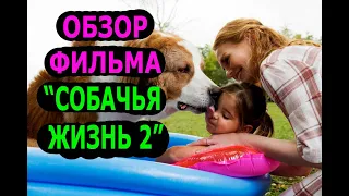 Обзор фильма "Собачья жизнь 2".лучший фильм.