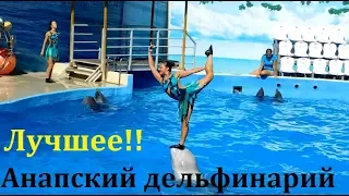 СУПЕР ШОУ. Дельфинарий. АНАПА