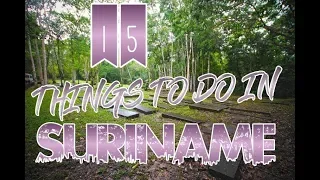 Top 15 Things To Do In Suriname