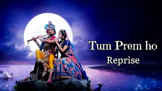 Tum Prem ho | Lofi song | Radhe Krishna