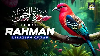 Surah Rahman Full سورة الرحمن | Ep0050 | World Most Heart Touching Recitation of Surah Rahman