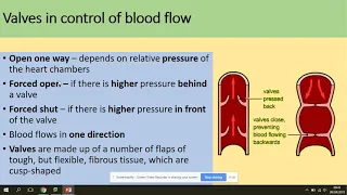 3.3.4.5 The cardiac cycle. AQA A level biology