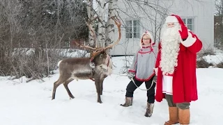 Santa Claus Reindeer Race in Pello in Lapland Finland - Father Christmas Arctic Circle