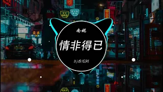 南妮 - 情非得已  (DJ 李安)