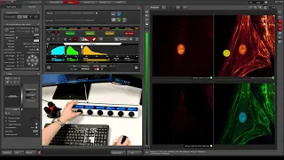 LAS X ImageCompass: Multichannel Configuration