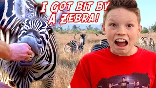 I got bit by a Wild Zebra in Africa!