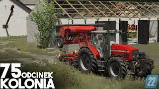 ZDJĄŁEM eternit i kupiłem ZESTAW do Masseya! [75] Podwórko Kolonisty 👩‍🌾▶ Map: KOLONIA