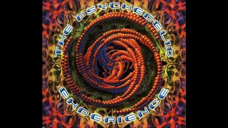 The Psychedelic experience 1(full album)(zoulou memories)