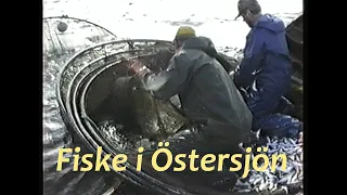 Ett fiskefänge / Fiske i Östersjön 1992