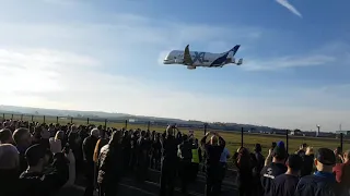 Airbus Beluga XL, swaying fly past