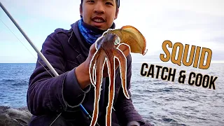 LAND BASED SQUID (Catch & Cook)