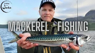Mackerel Fishing in Norway 2021 4k