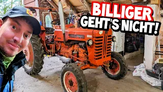 IST DAS PFUSCH? | Kupplung repariert für 0€! | McCormick D430 | Mr. Moto