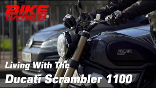 We've been living with the Ducati Scrambler 1100, in glorious 4K