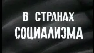 Хроника наших дней №14 (1984)