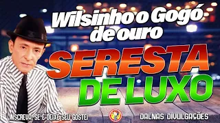 Wilsinho o Gogó de Ouro - Seresta de Luxo - Volume 6