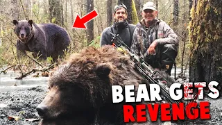 This Kodiak Bear Gets Revenge on Two Hunters! Bear Attack on Brady and Steve Penn