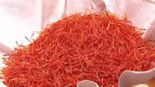 Saffron From Spain | Euromaxx