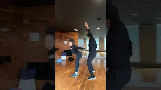 FIREBALL TIKTOK DANCE CHALLENGE! HAPPY NEW YEAR