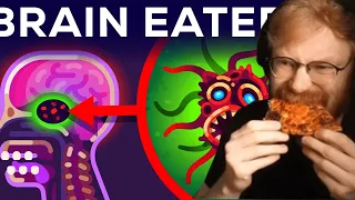 TommyKay reacts to The Most Horrible Parasite: Brain Eating Amoeba | Kurzgesagt