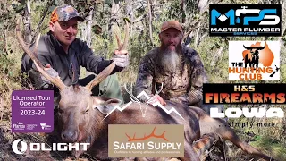 Zebra's Sambar hunting Adventures. Sambar deer, Vic Alpine National Park. (308w Tikka T3X)