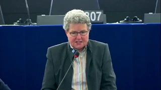 Catherine Rowett EU debates human rights in Russia and the "Foreign Agents" Law