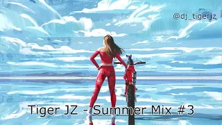 Tiger JZ - Summer Mix #3