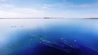 Шацький національний природний парк. Україна. Моя країна