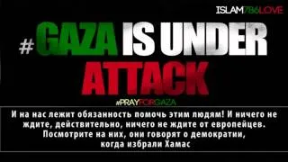 Делайте дуа, молитесь за Газу Палестина!   Шейх Захир Махмуд