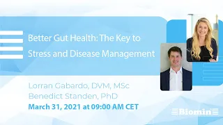 Better Gut Health: The Key to Stress and Disease Management