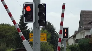 Störung am Bahnübergang Schriesheim "Edelsteinstraße"  | OEG BÜStra