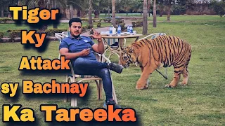 Tiger K Attack sy Bachnay ka Tareeka Bta Dia | How to Survive From Tiger Attack | Nouman Hassan |