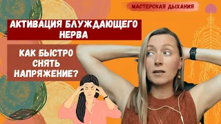 Блуждающий нерв (или вагус) это ключ к быстрому восстановлению