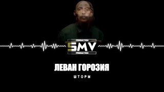 Леван Горозия - Шторм (Official Audio)