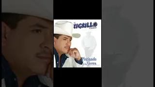 El tigrillo palma corridos y canciones mix