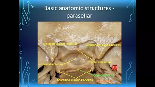 UofL Endocrinology Grand Rounds: Dr. Robert Bert