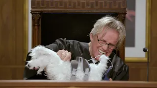 Gary Busey Pet Judge (Official Trailer)