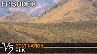 The Needle in the Haystack: EPISODE 8 (Destination Elk V5)
