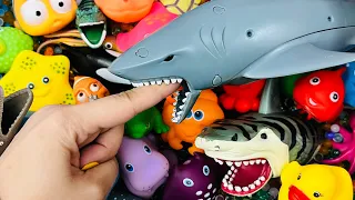 Learn Animal Names, Animal toys, Animals for kids, Sea Animals, Zoo, Farm, wild, aquatic Animals