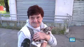 Sparatoria a Milano, il terrore dei residenti: «E' pieno di stranieri, ci barrichiamo in casa»