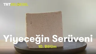 Yiyeceğin Serüveni | Helva | TRT Belgesel