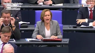 Best of Bundestag 118. Sitzung 2019 (Teil 1)