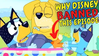 Disney Plus BANNED Cartoons: Bluey Episode "Dad Baby" is TOO CONTROVERSIAL in the US  (Bluey Theory)