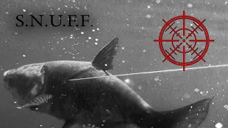 Подводная охота. S.N.U.F.F. (ГИПНО-ВИДЕО, МЯСОРУБКА)